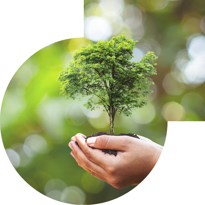 關懷人類、文化、環境與社會